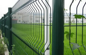 Wire Mesh Fence